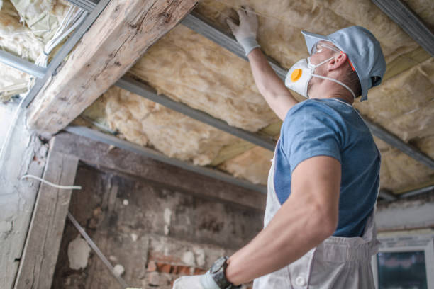 Best Cellulose Insulation in Kalaheo, HI